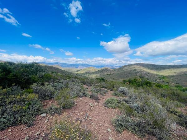 Vacant Land / Plot For Sale in Robertson Rural, Robertson