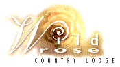 Wild Rose Country Lodge is a 4-star B&B Guest House in Noordhoek. Nestled between spectacular mountain scenery and the shores of the wild Atlantic in Cape Town.